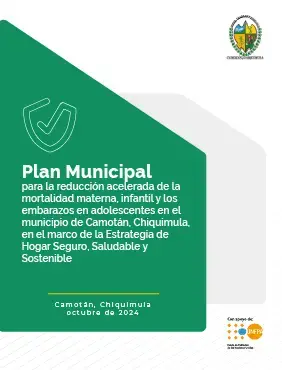 Plan Municipal de Reducción de Muertes Maternas