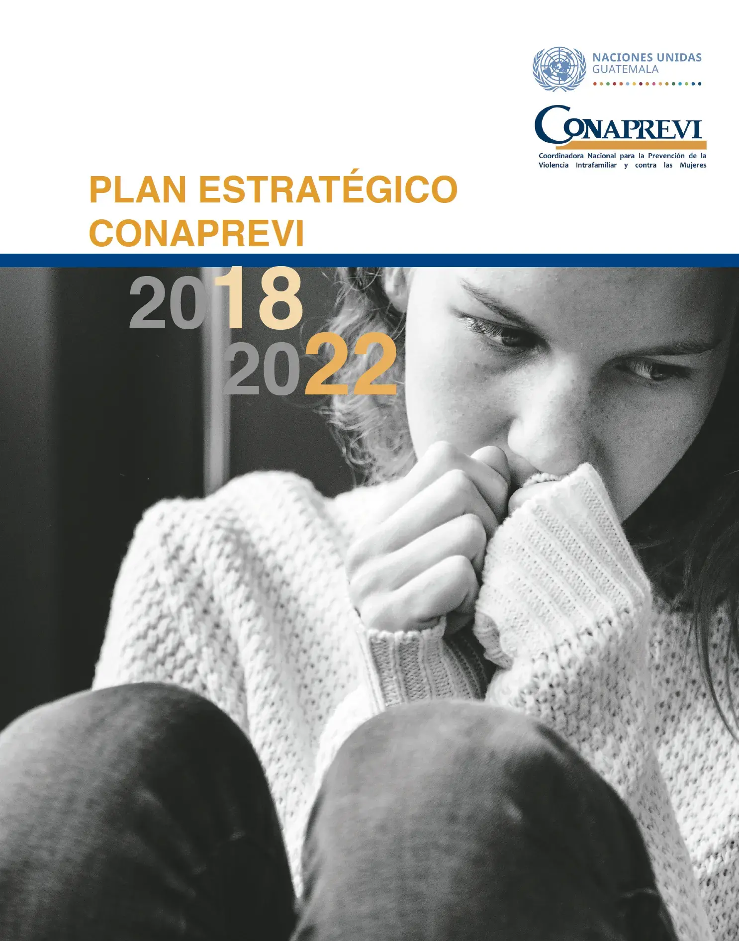 Plan estratégico de la CONAPREVI